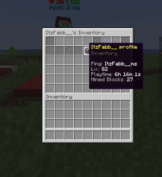 Item Display Inventory